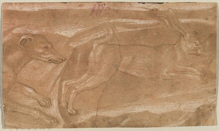 A Hound Chasing a Hare