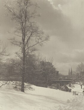 image: Winter (Central Park)