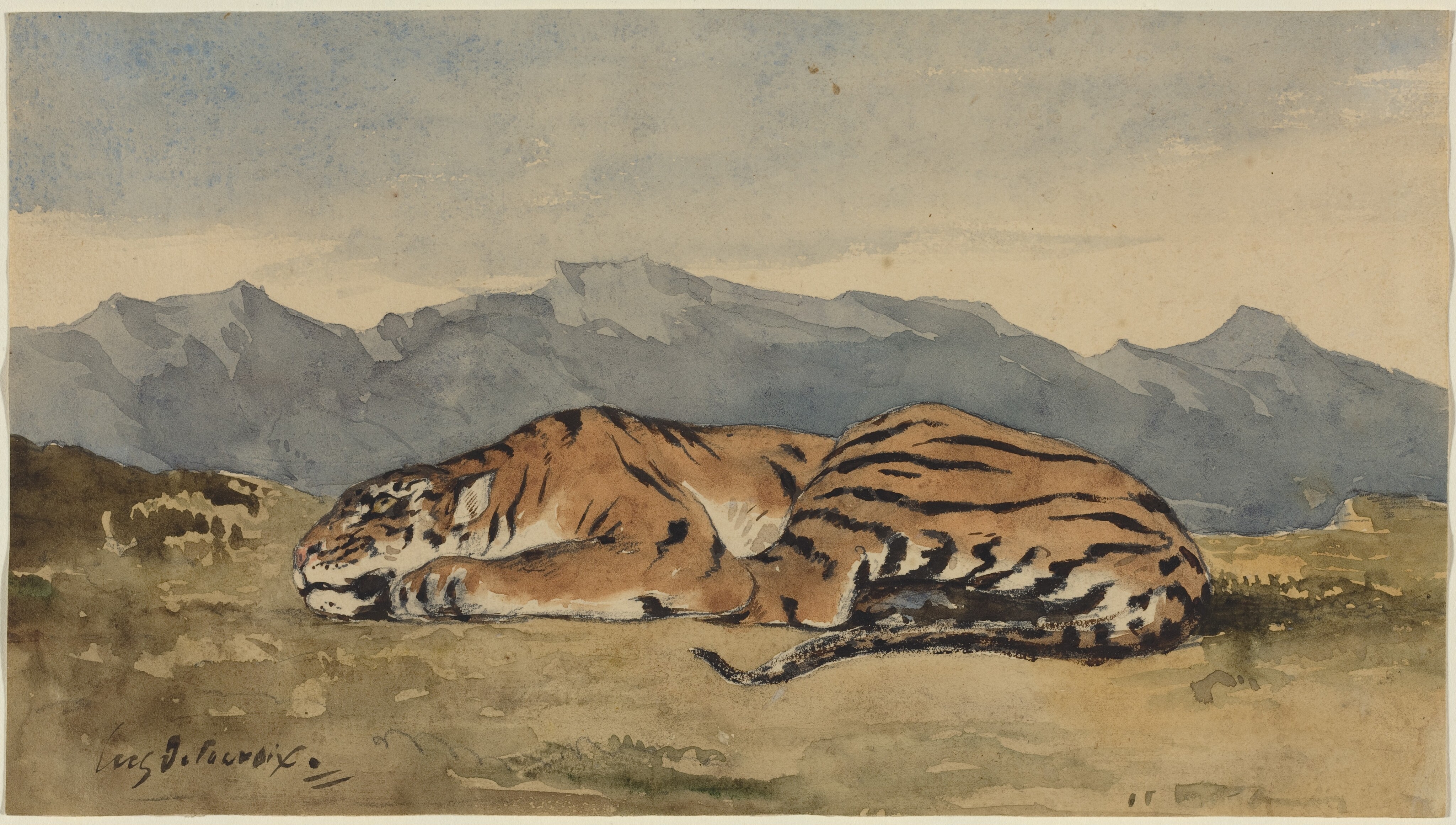 Best Deal for Zakqeik Black and White Painting, Vigilant Tiger