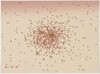 Swarm of Red Ants from Insects