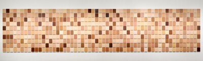 560 panels, each painted a unique, flat color, are hung in a grid to create an abstract work of art. The grid has ten horizontal rows of fifty-six panels. The surface of each panel is covered from edge to edge with a single color. The colors range from mahogany to peach, almond white to dark brown. Some panels are smoothly painted while brushwork is visible on others.