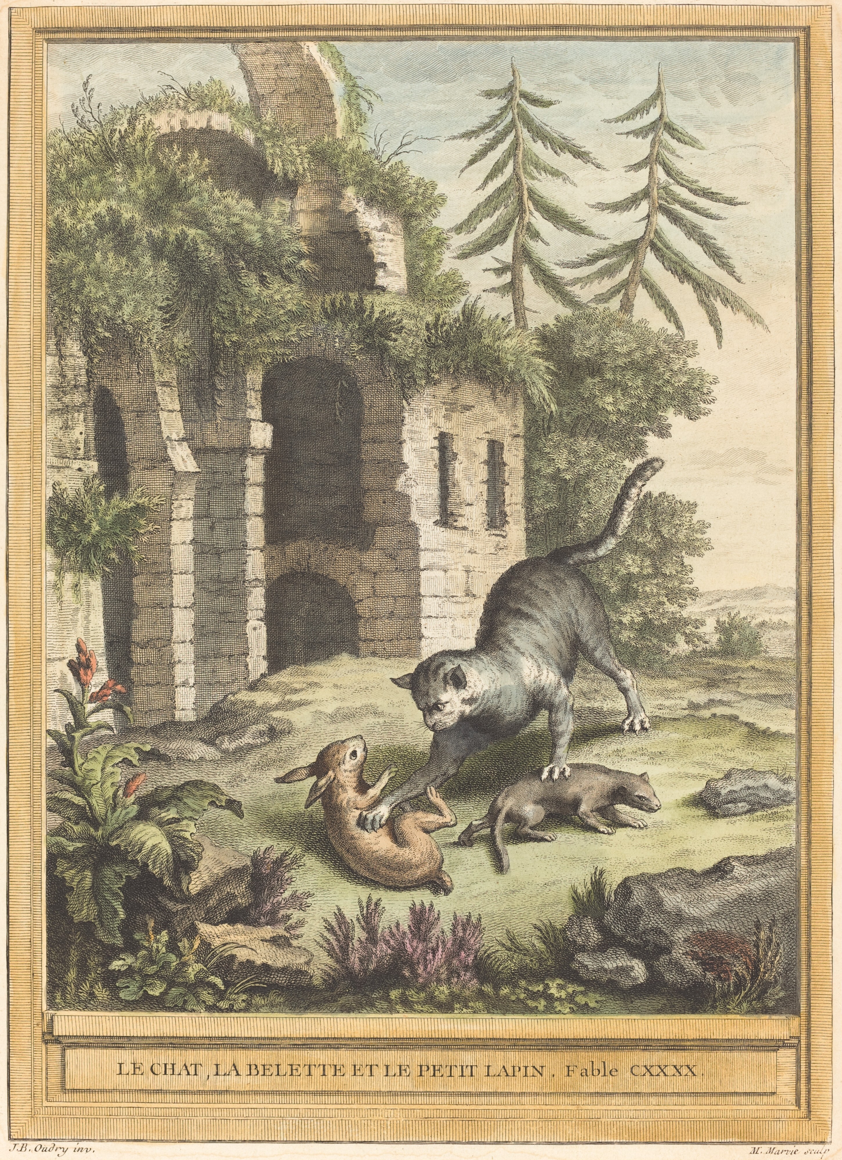 Le Chat La Balette Et Le Petit Lapin The Cat The Weasel And The Rabbit