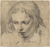 Head of a Young Man [recto]