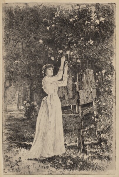Untitled (Woman Picking Blossoms)