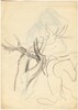 Studies of Tree Trunks and Limbs [verso]