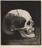 Untitled (Skull)