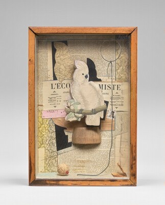 Joseph Cornell, A Parrot for Juan Gris, winter 1953-1954