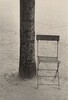 Tree and Chair/Paris
