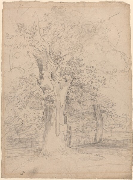 An Ancient Tree with Figures in a Landscape
