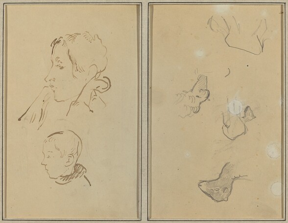 Two Heads; Studies of Sheep [recto]
