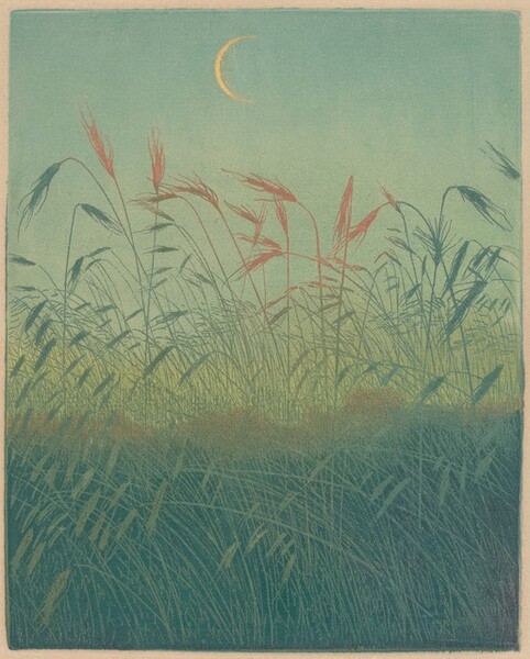 Sickle Moon over a Cornfield