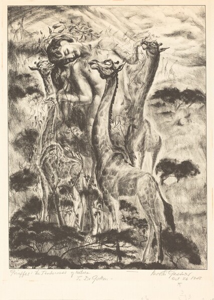 Giraffes: The Tenderness of Nature
