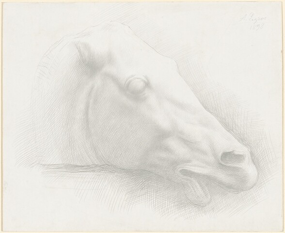 Head of a Horse from the Parthenon