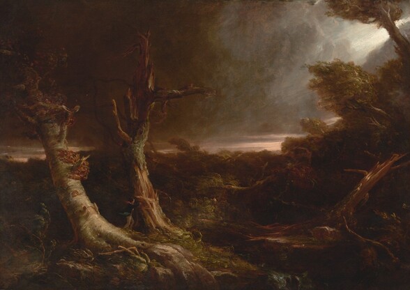 Two thick, twisting, splintered tree trunks with broken branches stripped of leaves are set against a dark, wooded landscape beneath a nearly black sky in this horizontal landscape painting. The scene is dominated by coffee brown and tan, dark pewter and smoke gray, and olive green. The two trunks, set to our left of center, are the most brightly lit objects in the landscape, presumably lit from the break in the clouds in the upper right corner. More trees create a screen across the painting beyond the tree trunks. Though nearly swallowed in shadow, a couple of taller trees in the distance show that they bend nearly horizontally in a strong wind. The left half of the sky above is almost black, and it lightens a bit toward the break in the clouds to our right. Only closer inspection reveals a person standing near the base of the trunk to our right, possibly bracing against its trunk. Their dark hair blows back from their face and their navy blue jacket is lifted in the wind. The artist signed and dated the work as if he wrote it on a rock at the lower center of the painting: “T Cole 183,” the last digit missing.