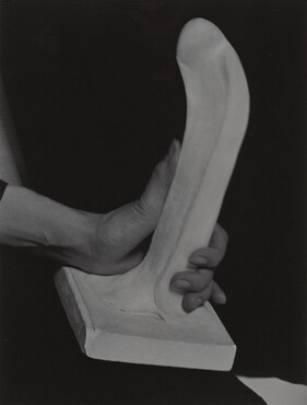 image: Georgia O'Keeffe—Hand