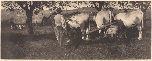 Ploughing Team