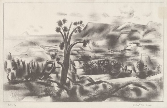 Untitled (Mexican Landscape)
