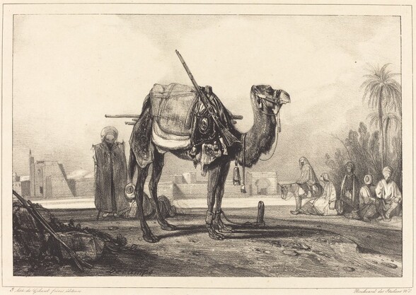Camel and Arabs