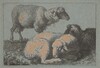 Two Reclining Sheep and One Standing Sheep
