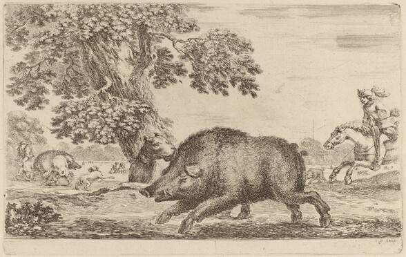 Boar Running to the Left