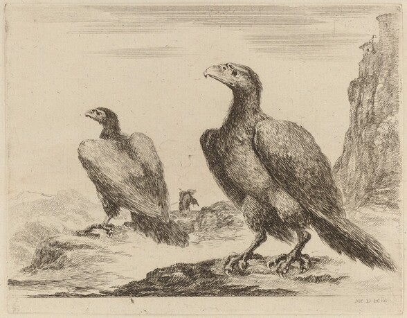 Two Eagles, Both with Heads Turned to the Left, On a High Cliff