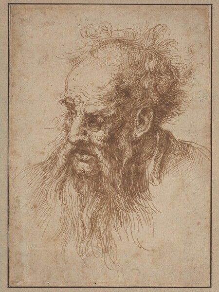An Elderly Man with a Flowing Beard