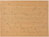 Cockroaches from Insects