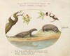 Plate 43: Mongoose and Badger with Fruit Trees