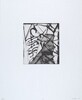 Untitled 16