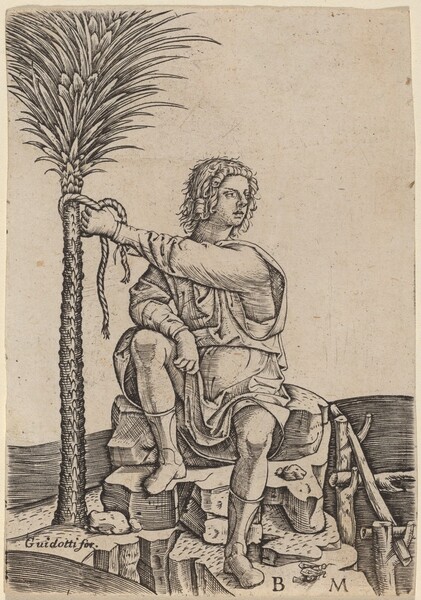 Man Seated by a Palm Tree