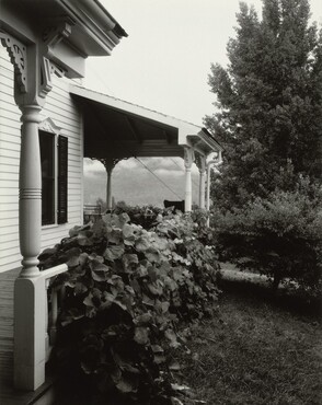 image: House and Grape Leaves