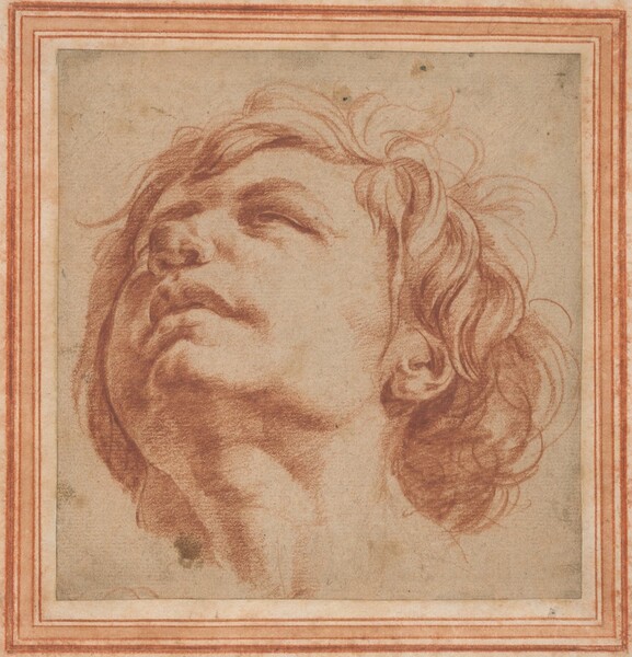 Head Study of a Young Man Looking Upward