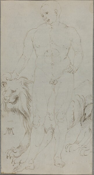 Male Nude with a Lion [verso]