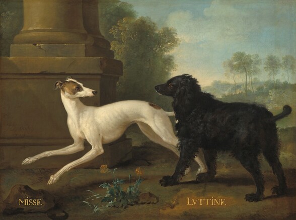 Two dogs, one with short white hair to our left and one with longer black hair to our right, stand in front of the base of a pair of columns set in a landscape in this horizontal painting. Both dogs stand with their heads to our left. The short-haired grayhound to our left leaps or is shown midstride with its front paws off the ground as it turns to look behind it, to our right. It has cream-colored fur with tawny brown spots near the base of its thin tail and covering its right eye and ear. The dog has a long, pointed snout, and its ribs show a little through its thin frame. To our right, the furry black dog has long ears, a short tail, and small white spots on its chest and lower lip. It stands planted on all four feet, looking at the grayhound with brown eyes. The tails of both dogs are raised as if in play. The caramel-brown, stone column base behind the grayhound is chipped and cracked in a few places, but supports a pair of columns that rise off the top edge of the canvas. The landscape beyond the dogs is painted with muted moss-green trees and a pale blue sky. A plant, possibly a marigold, grows from the scrubby green ground under the white dog. Names are written with capital, shiny gold letters under each dog. The name “MISSE” is written against a rock in the lower left corner and “LVTTINE” under the black dog. The artist signed and dated the work as if written on the face of the column base: “J.B, Oudry 1729.”