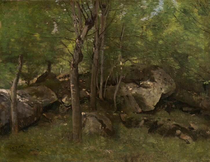 Dense green vegetation surrounds a band of sun-dappled boulders that arc shallowly across this horizontal landscape painting. Just to our left of center and on our side of the boulders are several slender tree trunks. The area beyond the boulders is a haze of loosely painted moss and pine green. The tree trunks and rocks are painted in tones of sable, peanut, sand, and dark brown. The artist signed the lower left, “COROT.”