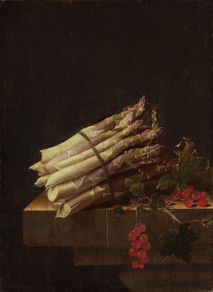 A bundle of pale green, thick asparagus stalks bound by twine and a bunch of glistening ruby-red currants sit on the edge of a stone table or ledge against a deeply shadowed background in this vertical still life painting. The asparagus is situated with the jagged, broken edges facing our left and the pointed tips angled away from us to our right. The base of the stalks are nearly cream-white, and the tips are faint green and muted purple. To our right, one the two stems of the red currant berries and leaves dangles off the front edge of the table. Light spills onto the scene from our upper left giving the currants a glassy sheen. The stone ledge or table is cracked in a couple of places. The artist signed this work as if he had inscribed his name and the date on the front surface of the table: “A. Coorte. 1696.”