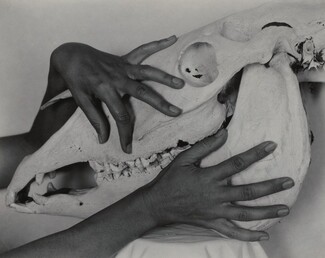 image: Georgia O'Keeffe—Hands and Horse Skull