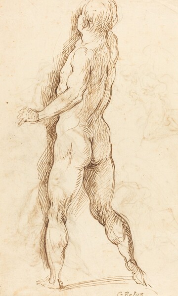 Nude Man Seen from Behind [verso]