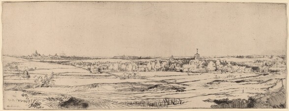 Landscape with a View toward Haarlem (The Goldweigher