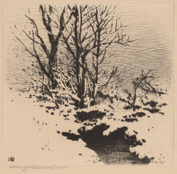 The First Snow (no.2)