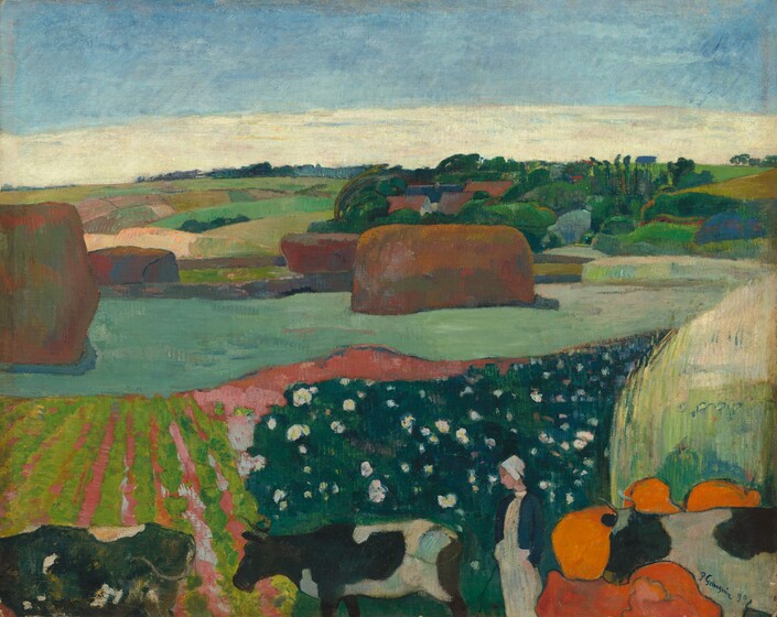 We look out onto a landscape with tawny-brown haystacks and trees among a patchwork of moss, lime, mint, and pine-green fields in this stylized, horizontal painting. The scene is painted with mostly flat areas of color. Seeming closest to us, along the bottom edge of the canvas, a woman wearing a white cap and dress and a navy blue jacket stands among three black-and-white spotted cows, which form a line facing our left in profile. Several round, tangerine-orange forms surround the head of the cow near the lower right corner. Their function is not clear. The strip of land on the other side of the cows is divided into alternating rows of spring green and coral pink to our left, and forest green dotted with white to our right. The landscape stretches to the horizon, which comes two-thirds of the way up the composition. Rectangular parcels of land are dotted with four rust-brown haystacks beyond the cows, and trees cluster around several brown roofs in the distance to our right. A band of cream-white clouds lines the horizon beneath the topaz-blue sky above. The artist signed and dated the work in dark paint against the white of the cow in the lower right corner: “P. Gauguin 90.”