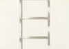 20 Foot Ladder for any Size Wall [III]