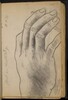 Study of a Right Hand