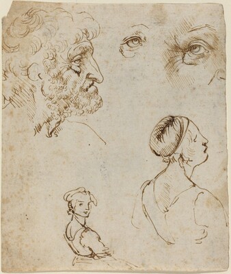 Leonardo da Vinci, Sheet of Studies [recto], probably 1470/1480