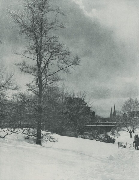 A Winter Sky—Central Park