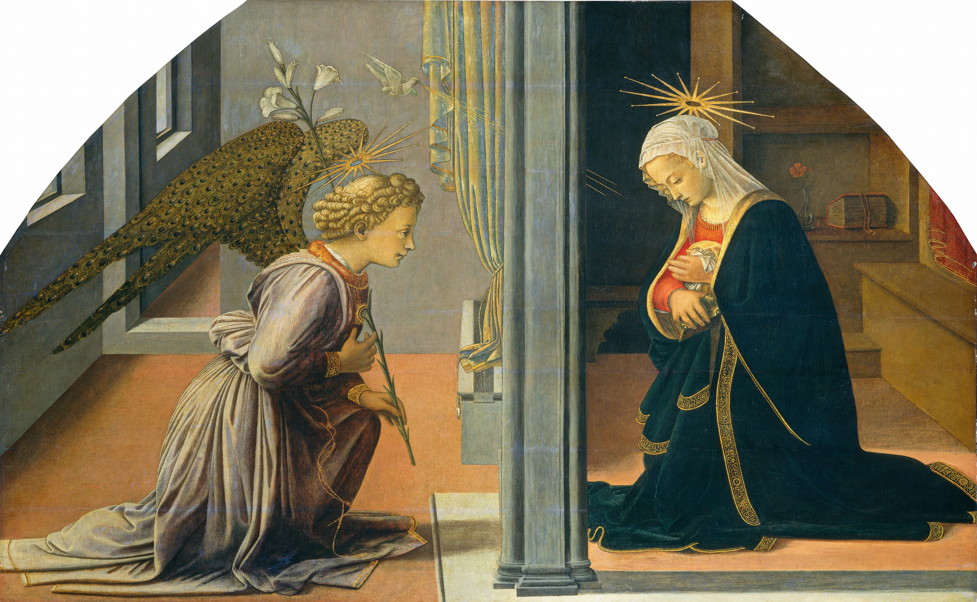 Lippi panal shop