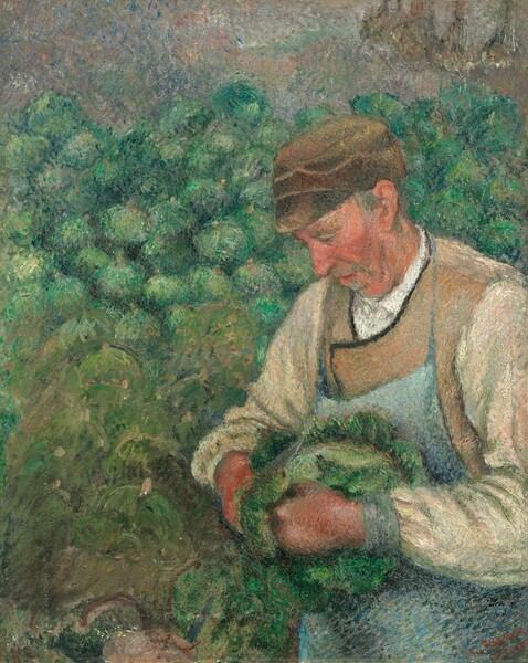 An older man with ruddy, peachy skin stands in the lower right of this vertical painting holding a large, green, leafy cabbage. He is shown from the hips up and faces our left with his body angled slightly toward us. His head tilts down with his mouth open to gaze at the vibrant green cabbage held tightly in both hands. Fringes of gray hair sprout from under his peanut-brown, short-brimmed cap, and gray stubble frames his open mouth. His cheeks are hollow but he has a fleshy double chin. The collar of his white shirt is visible at the neckline of his long-sleeved, tan jacket. The jacket is covered by a seafoam-green apron touched with short strokes of navy-blue, teal, peach, and pine-green paint. He stands against several rows of round cabbages and other indistinct olive-green objects that might be more vegetables stacked up beyond him. The very top of the composition is filled with a band of tightly speckled mauve, peach, and white, with a few flecks of blue and green. The artist signed and dated the lower right with red paint, “C. Pissarro 1883-95.”