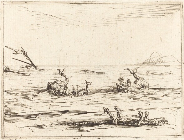 Dolphins and Crocodile