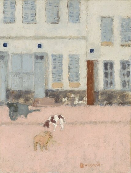 Two dogs stand near each other in the middle of a petal-pink street in front of two oyster-white buildings that fill the background in this vertical painting. The scene is loosely and thickly painted, with brushstrokes visible throughout, so details are indistinct. The dog closer to us is peach-colored while the other is white with dark brown patches, and they face each other. We look slightly down onto the street, and it comes almost halfway up the composition. A stone-gray wheelbarrow sits a bit above and to the left of the dogs, over a narrow, light gray horizontal stripe running the width of the road that could delineate the sidewalk. The two stories we see of the buildings have tall slate-blue windows, most covered with shutters. Each also has a band painted in patches of gray and brown running across the foundation. The building on our right has a narrow rust-red door while the other has two blue doors to match the shutters. Three small, navy-blue squares could be street numbers over the doors. The artist signed the painting near the lower right, “Bonnard.”