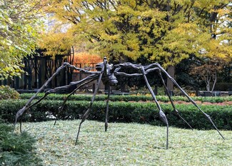 This free-standing sculpture is a stylized, metal spider with elongated, spindly legs looming over a green hedge row in an outdoor setting. The legs splay out from a cocoon-like body that tips down to our right. The legs are knobby at the joints and sinewy along their length. It looks as if pieces or cords of metal were woven together for the legs and the cylinder of the body. The metal is dark but appears white in this color photograph where the light illuminates it. Rows of hedges, a line of trees with dark trunks and lime-green leaves, and a black metal fence run behind the sculpture in the background.